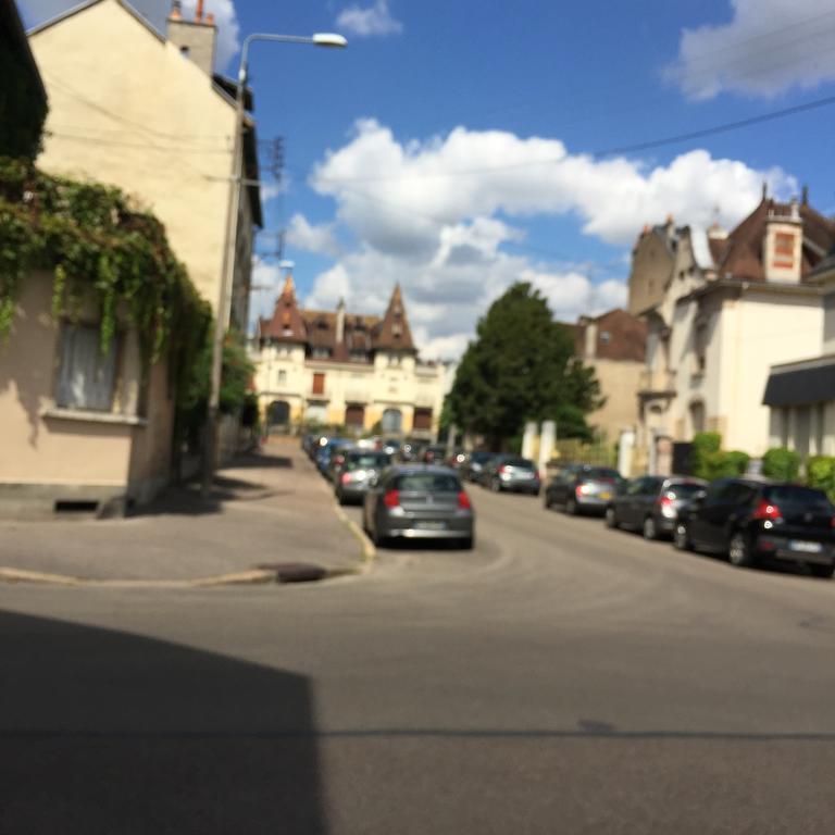 Ideal Art Deco Compris Un Parking Prive Securise Darcy Liberte Centre Gare-Ville Dijon Bagian luar foto