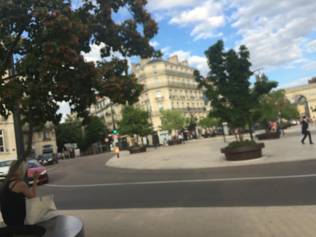 Ideal Art Deco Compris Un Parking Prive Securise Darcy Liberte Centre Gare-Ville Dijon Bagian luar foto