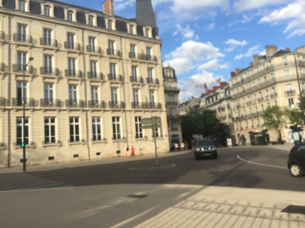 Ideal Art Deco Compris Un Parking Prive Securise Darcy Liberte Centre Gare-Ville Dijon Bagian luar foto