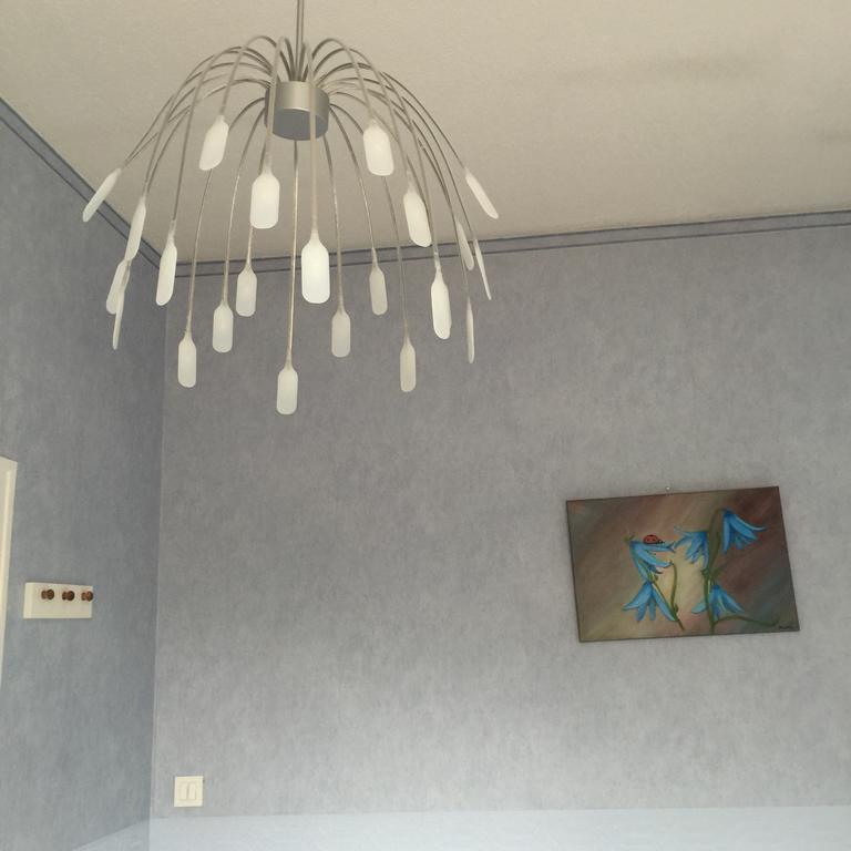 Ideal Art Deco Compris Un Parking Prive Securise Darcy Liberte Centre Gare-Ville Dijon Bagian luar foto